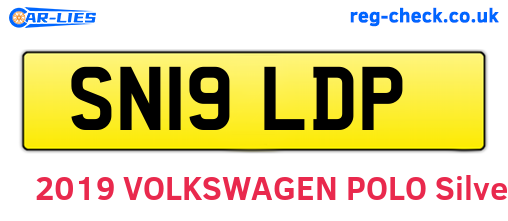 SN19LDP are the vehicle registration plates.