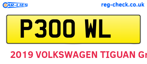 P30OWL are the vehicle registration plates.