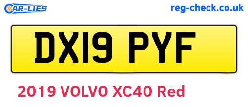 DX19PYF are the vehicle registration plates.