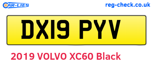DX19PYV are the vehicle registration plates.