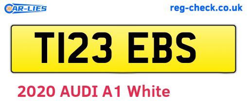 T123EBS are the vehicle registration plates.