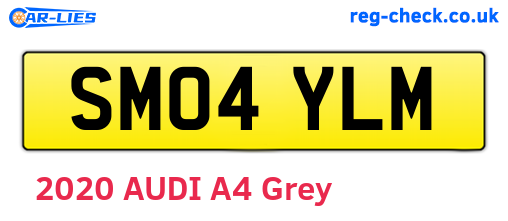 SM04YLM are the vehicle registration plates.
