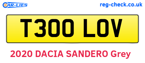T300LOV are the vehicle registration plates.