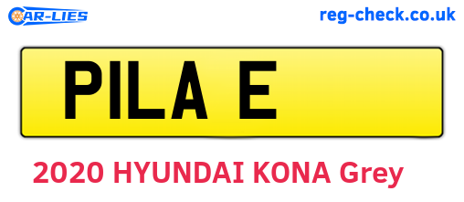 P1LAE are the vehicle registration plates.