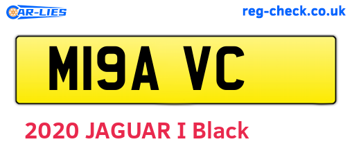 M19AVC are the vehicle registration plates.