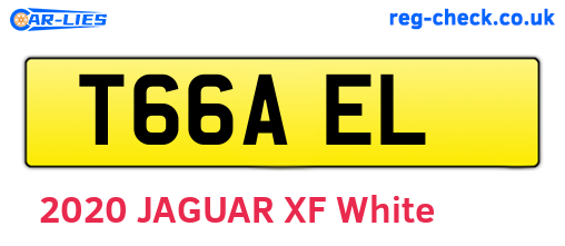 T66AEL are the vehicle registration plates.