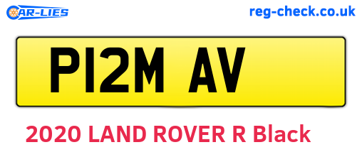 P12MAV are the vehicle registration plates.