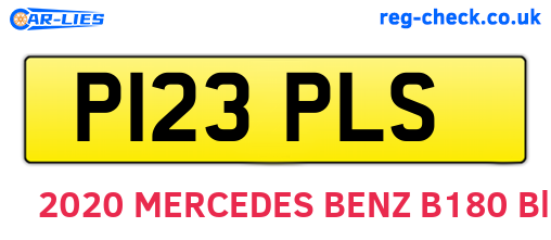 P123PLS are the vehicle registration plates.