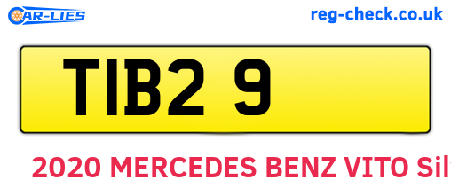 TIB29 are the vehicle registration plates.