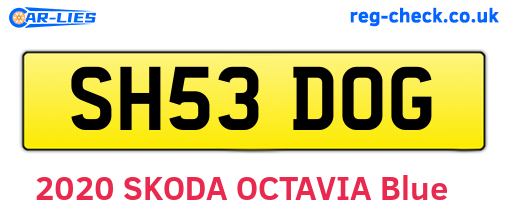 SH53DOG are the vehicle registration plates.