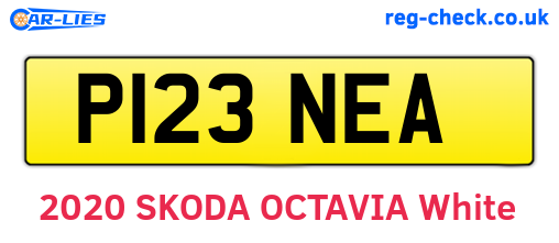 P123NEA are the vehicle registration plates.