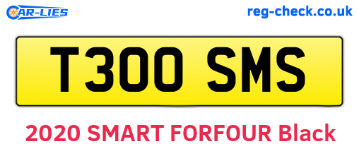 T300SMS are the vehicle registration plates.