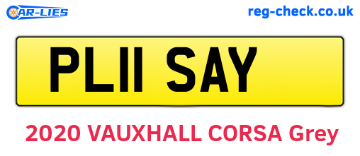 PL11SAY are the vehicle registration plates.