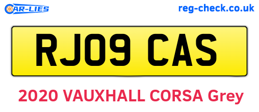 RJ09CAS are the vehicle registration plates.