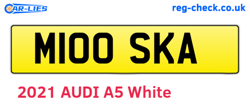 M100SKA are the vehicle registration plates.