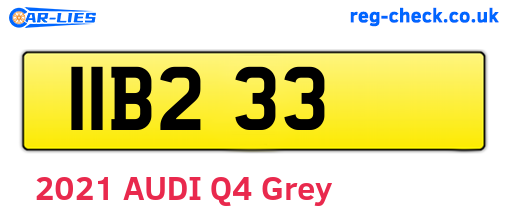 IIB233 are the vehicle registration plates.