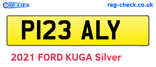 P123ALY are the vehicle registration plates.
