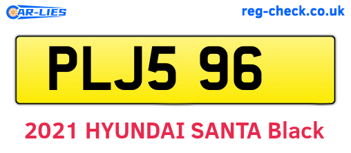 PLJ596 are the vehicle registration plates.