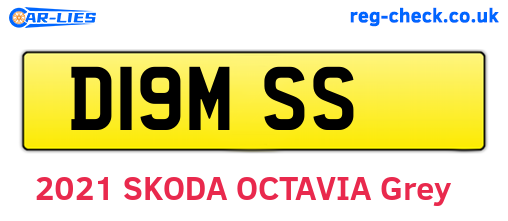 D19MSS are the vehicle registration plates.