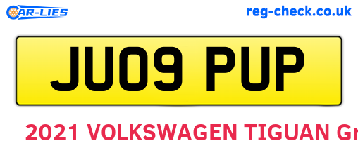 JU09PUP are the vehicle registration plates.