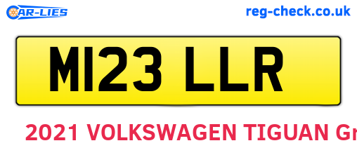 M123LLR are the vehicle registration plates.