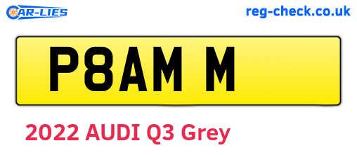 P8AMM are the vehicle registration plates.