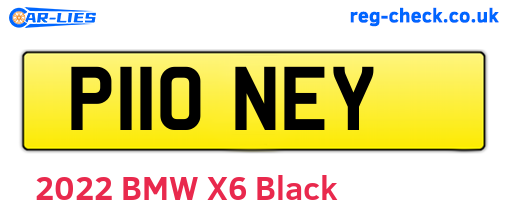 P110NEY are the vehicle registration plates.