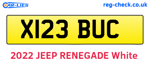 X123BUC are the vehicle registration plates.