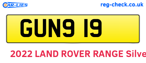GUN919 are the vehicle registration plates.