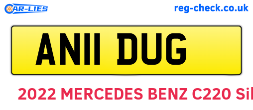 AN11DUG are the vehicle registration plates.