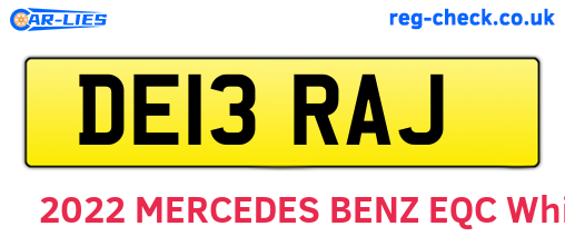 DE13RAJ are the vehicle registration plates.