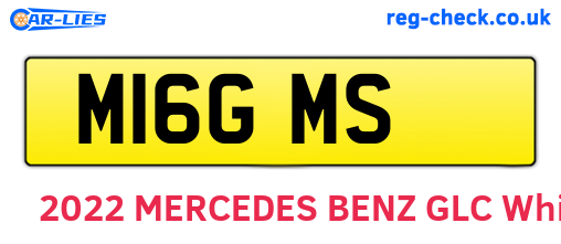 M16GMS are the vehicle registration plates.