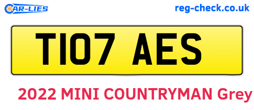 T107AES are the vehicle registration plates.