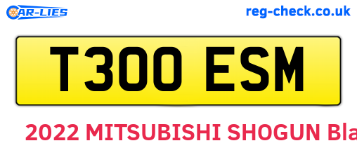 T300ESM are the vehicle registration plates.