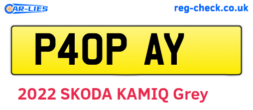 P40PAY are the vehicle registration plates.