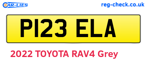 P123ELA are the vehicle registration plates.