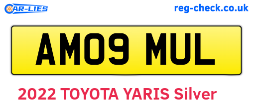 AM09MUL are the vehicle registration plates.