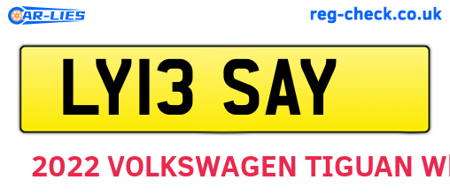 LY13SAY are the vehicle registration plates.