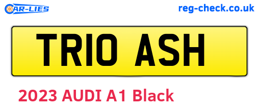 TR10ASH are the vehicle registration plates.