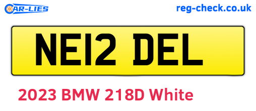 NE12DEL are the vehicle registration plates.