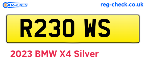 R23OWS are the vehicle registration plates.