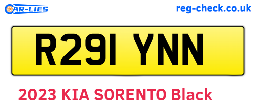 R291YNN are the vehicle registration plates.
