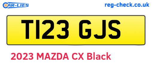 T123GJS are the vehicle registration plates.