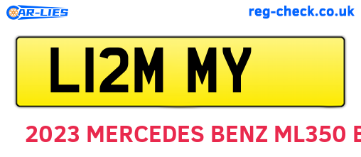L12MMY are the vehicle registration plates.