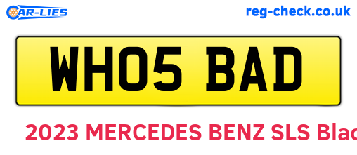 WH05BAD are the vehicle registration plates.