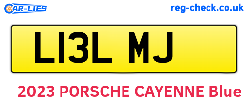 L13LMJ are the vehicle registration plates.