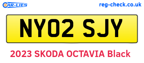 NY02SJY are the vehicle registration plates.