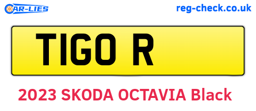 T1GOR are the vehicle registration plates.