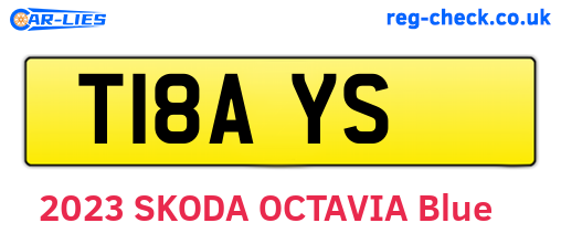 T18AYS are the vehicle registration plates.