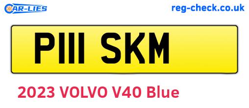 P111SKM are the vehicle registration plates.